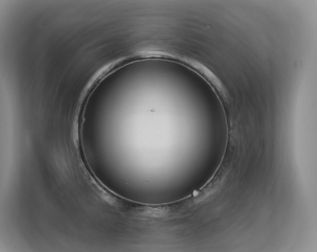 X0000113271191200909101513