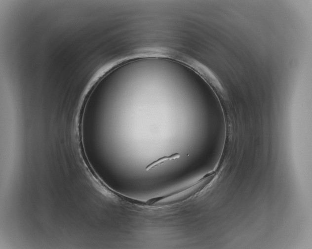 X0000113271192200909101513