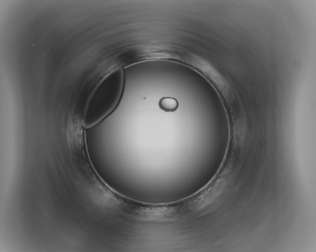 X0000113271193200909101513