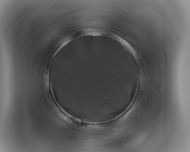 X0000113271194200909101513