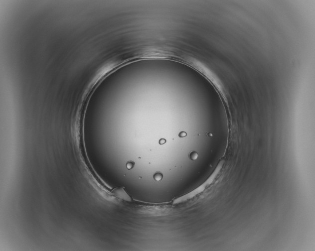 X0000113271195200909101513