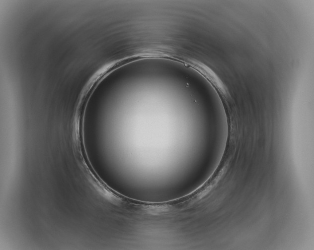 X0000113271196200909101513