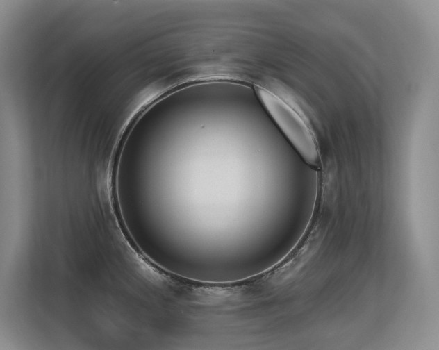 X0000113271197200909101513