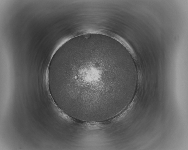 X0000113271198200909101513