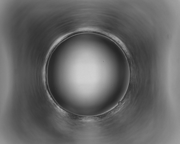 X0000113271199200909101513