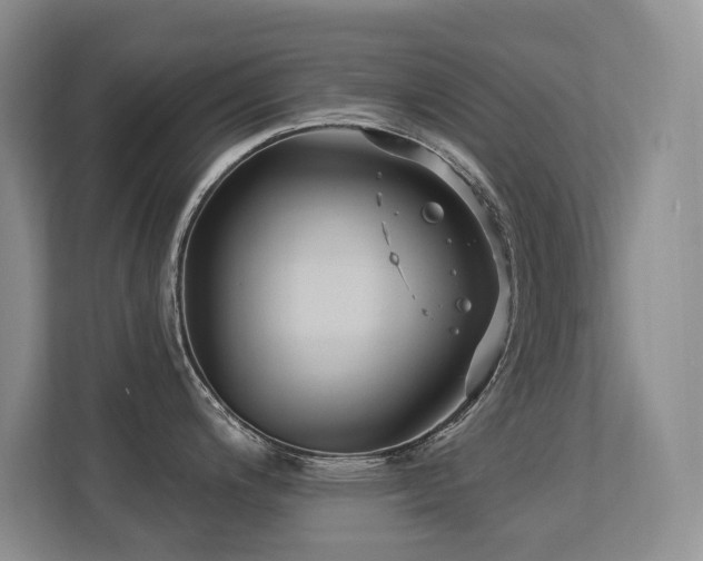 X0000113271200200909101513