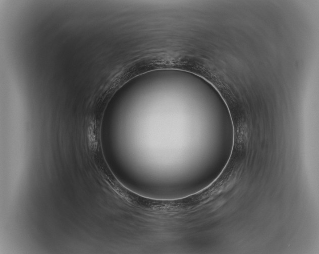 X0000113271202200909101512