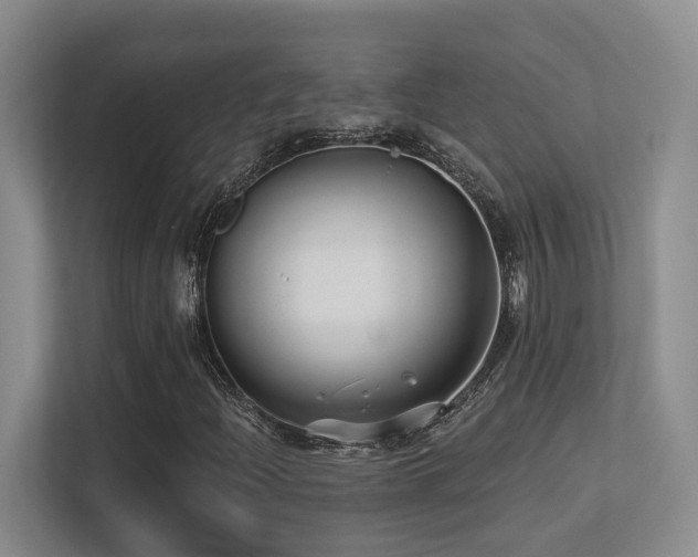 X0000113271204200909101512