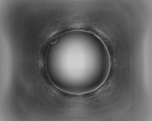 X0000113271206200909101512