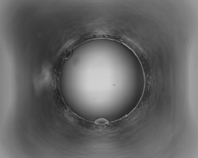 X0000113271207200909101512