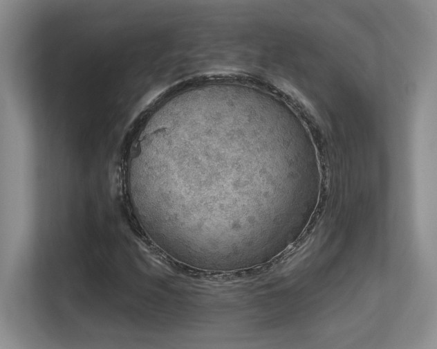 X0000113271208200909101512
