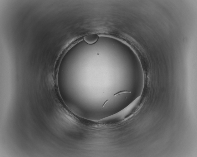 X0000113271212200909101512