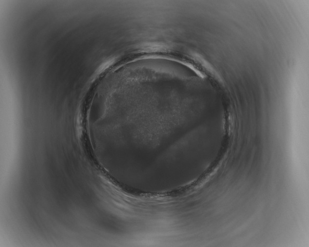 X0000113271213200909101512