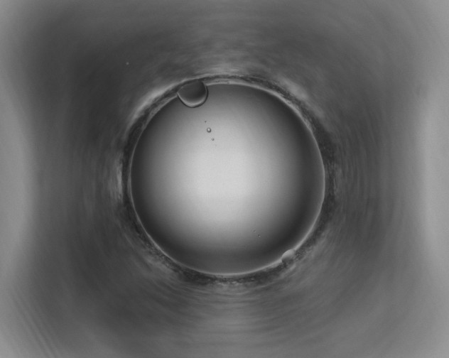 X0000113271214200909101512