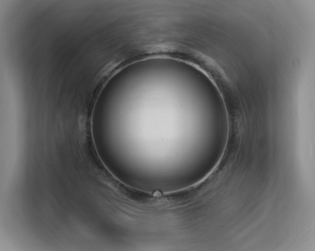 X0000113271217200909101512