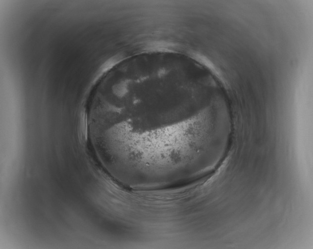 X0000113271219200909101512