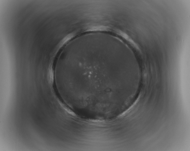 X0000113271221200909101512