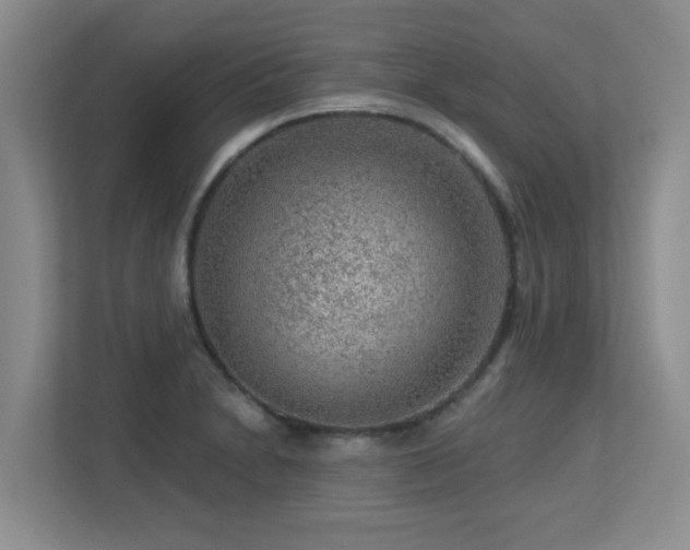 X0000113271230200909101512