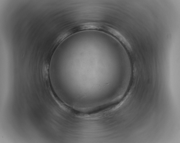 X0000113271233200909101512