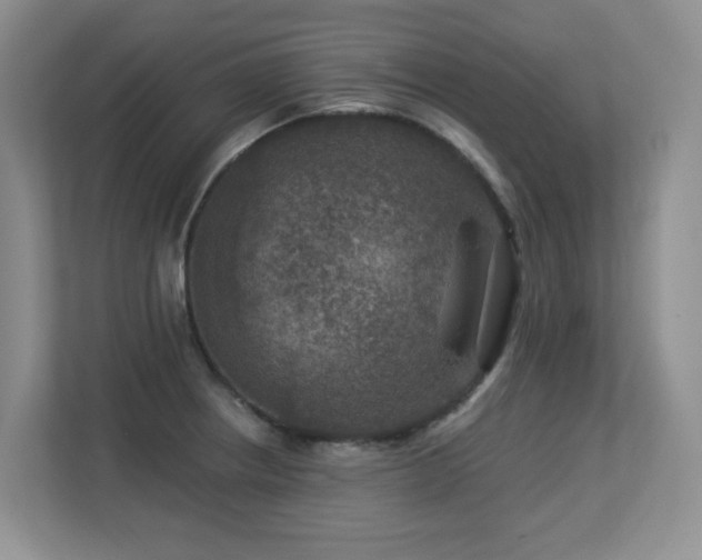 X0000113271234200909101512