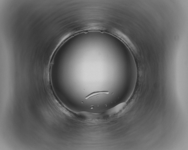 X0000113271236200909101512