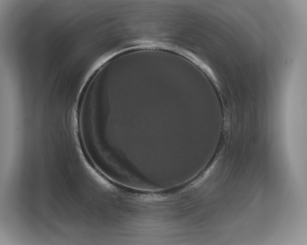 X0000113271239200909101512