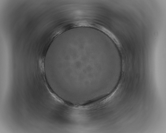 X0000113271241200909101513
