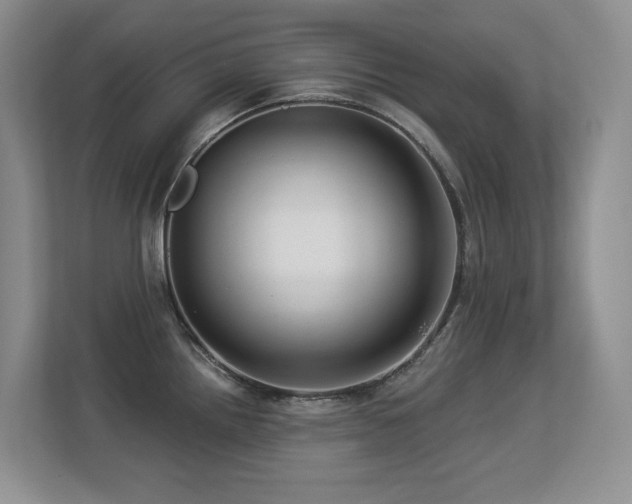 X0000113271242200909101513