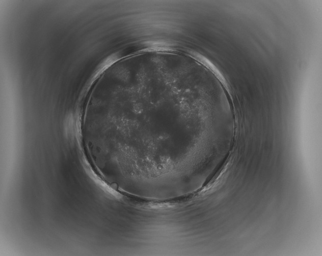 X0000113271243200909101513