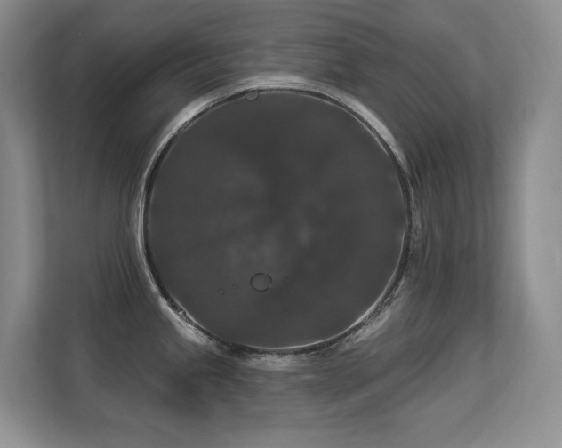 X0000113271245200909101513