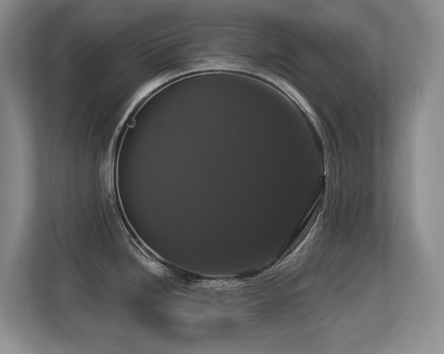 X0000113271246200909101513