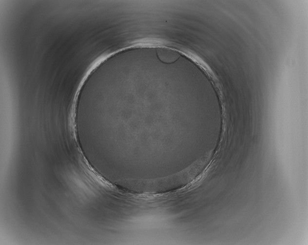 X0000113271248200909101513