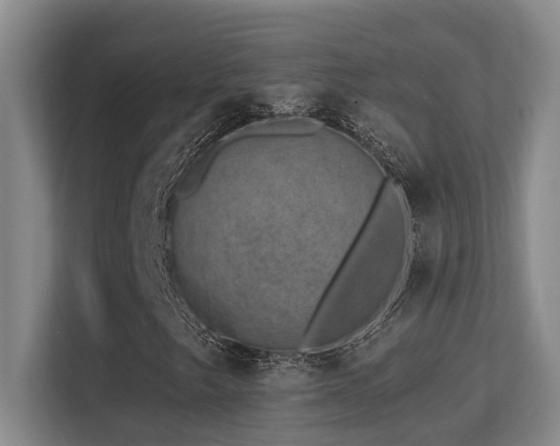 X0000113271249200909101512