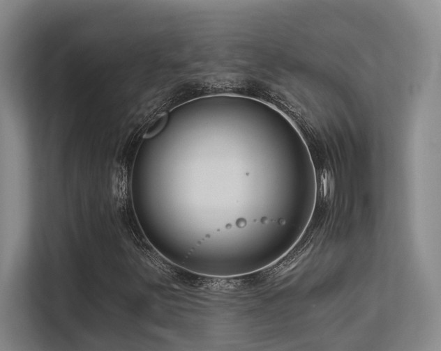X0000113271251200909101512