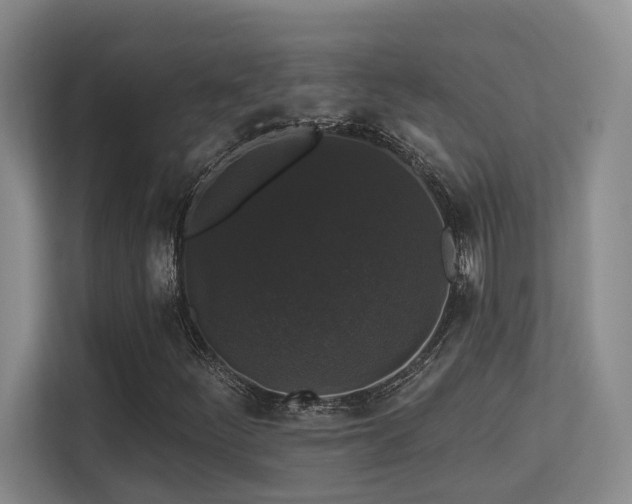 X0000113271252200909101512