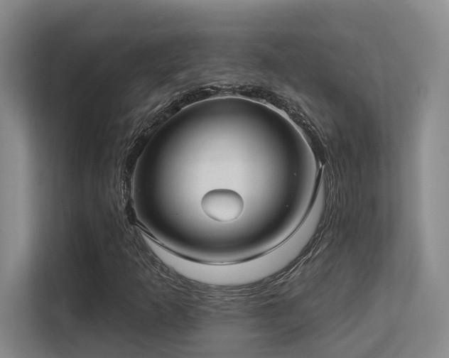 X0000113271253200909101512