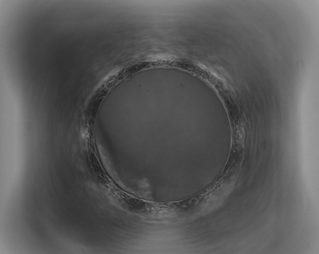 X0000113271254200909101512