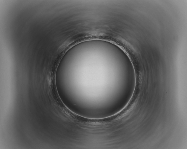 X0000113271257200909101512