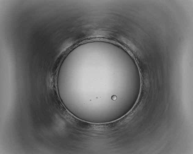 X0000113271258200909101512