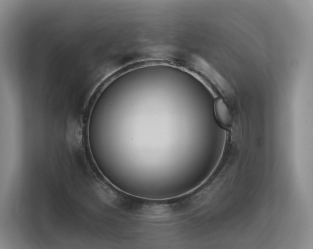 X0000113271260200909101512