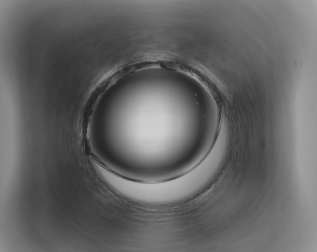 X0000113271261200909101512