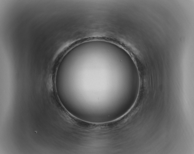 X0000113271262200909101512