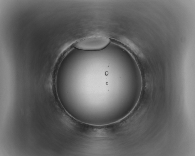 X0000113271264200909101512