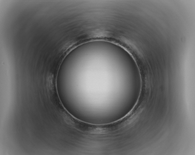 X0000113271265200909101512