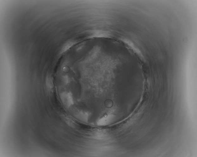 X0000113271266200909101512