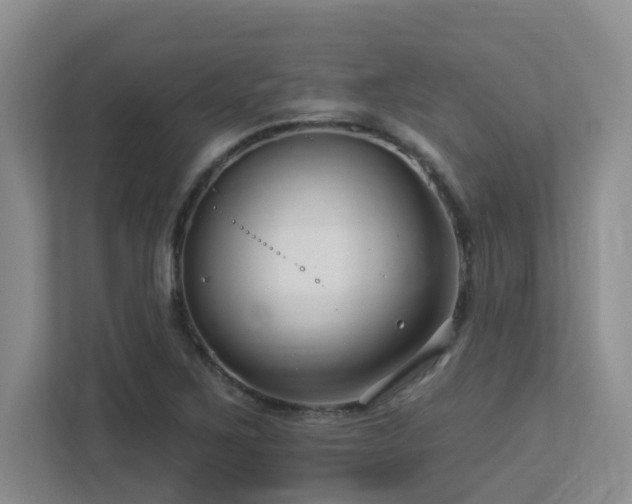 X0000113271267200909101512