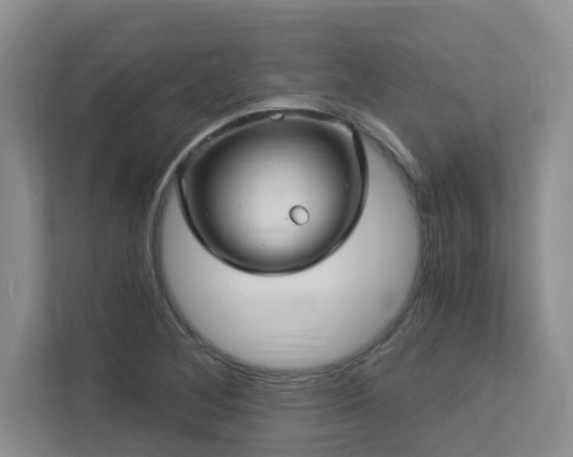X0000113271268200909101512