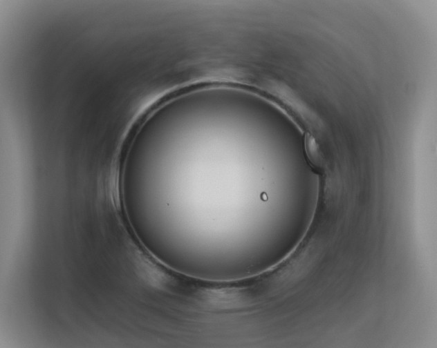 X0000113271272200909101512