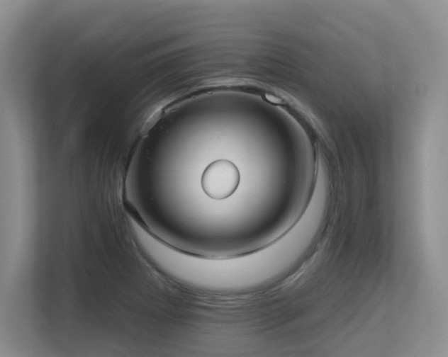 X0000113271273200909101512
