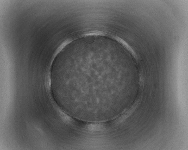 X0000113271274200909101512